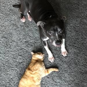 Meet your Posher, Todd